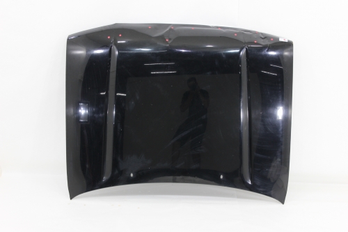 Capô Motor Sw4 96/04 Usado (570)