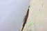 Capô Dianteiro com Grade Fusca 71/86 Usado (830)