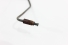 Cano Freio Sw4 96/04 Usado (672)